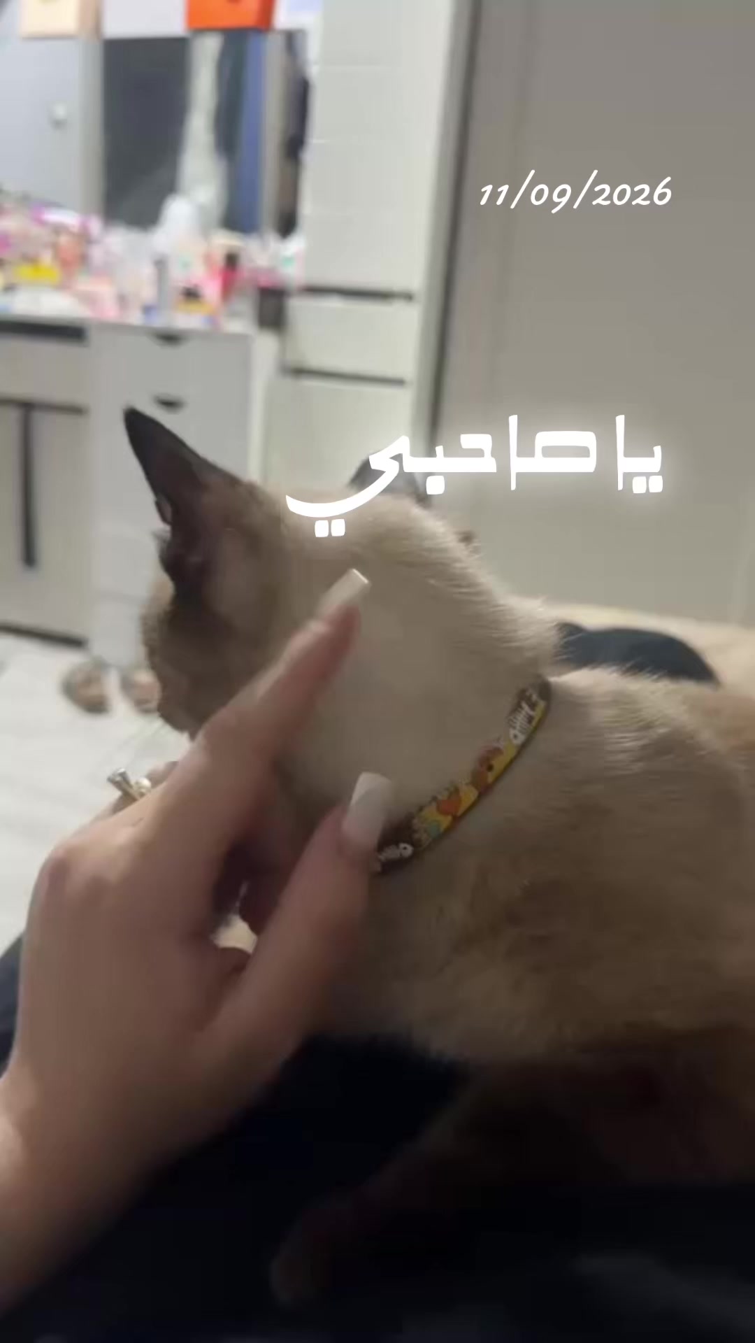 @Nanaaaa 💥🇩🇿👑