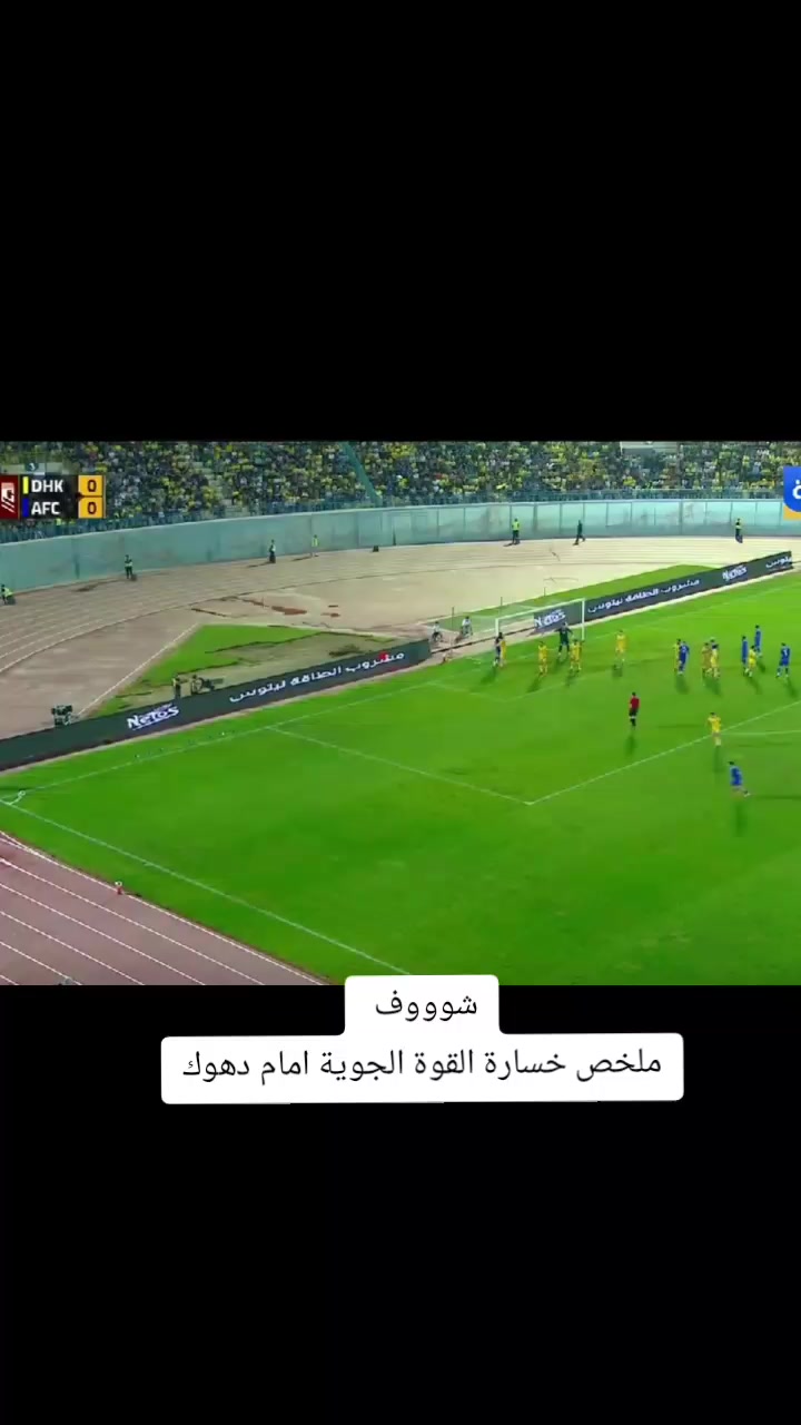 @ملعب البصرة جذع نخلة