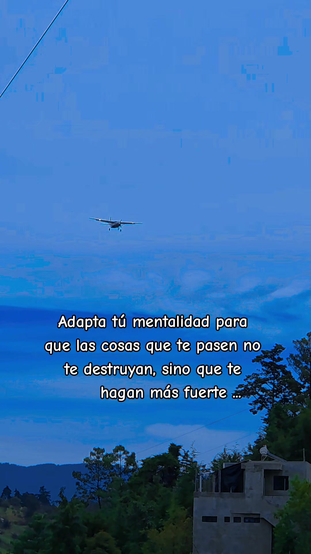 @🌸🦋Patricia🐼🦢