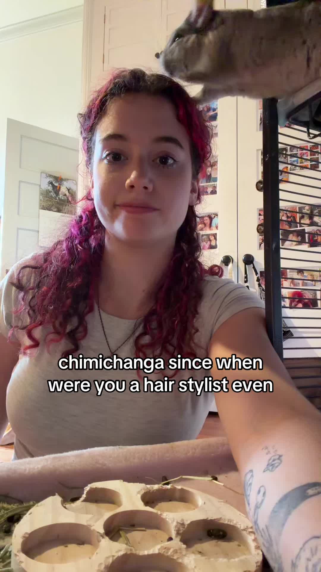@🦭