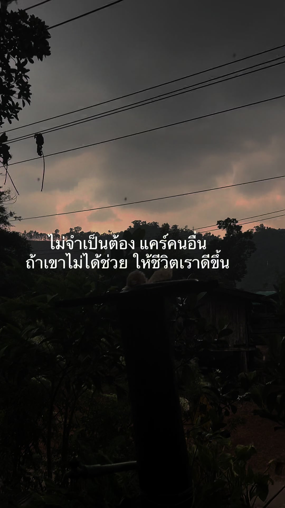 @Samai  Yodkhlangthong