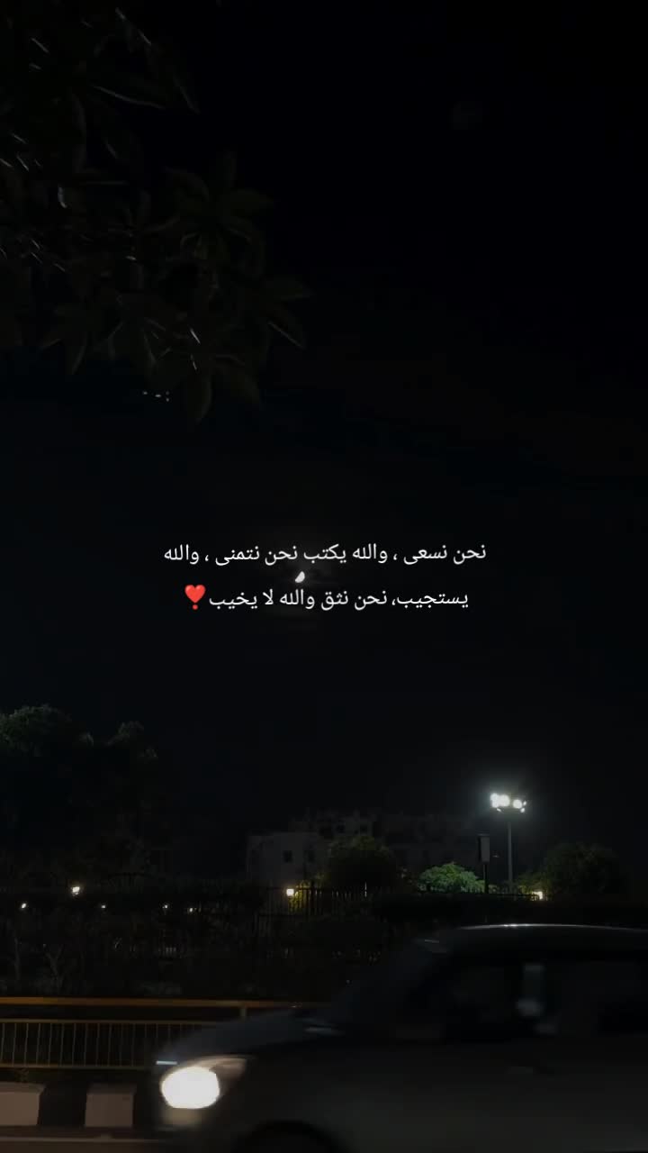 @karim hegazy