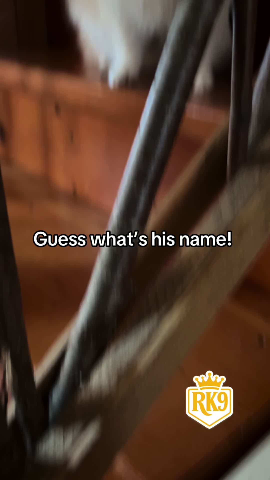@RighteousK9