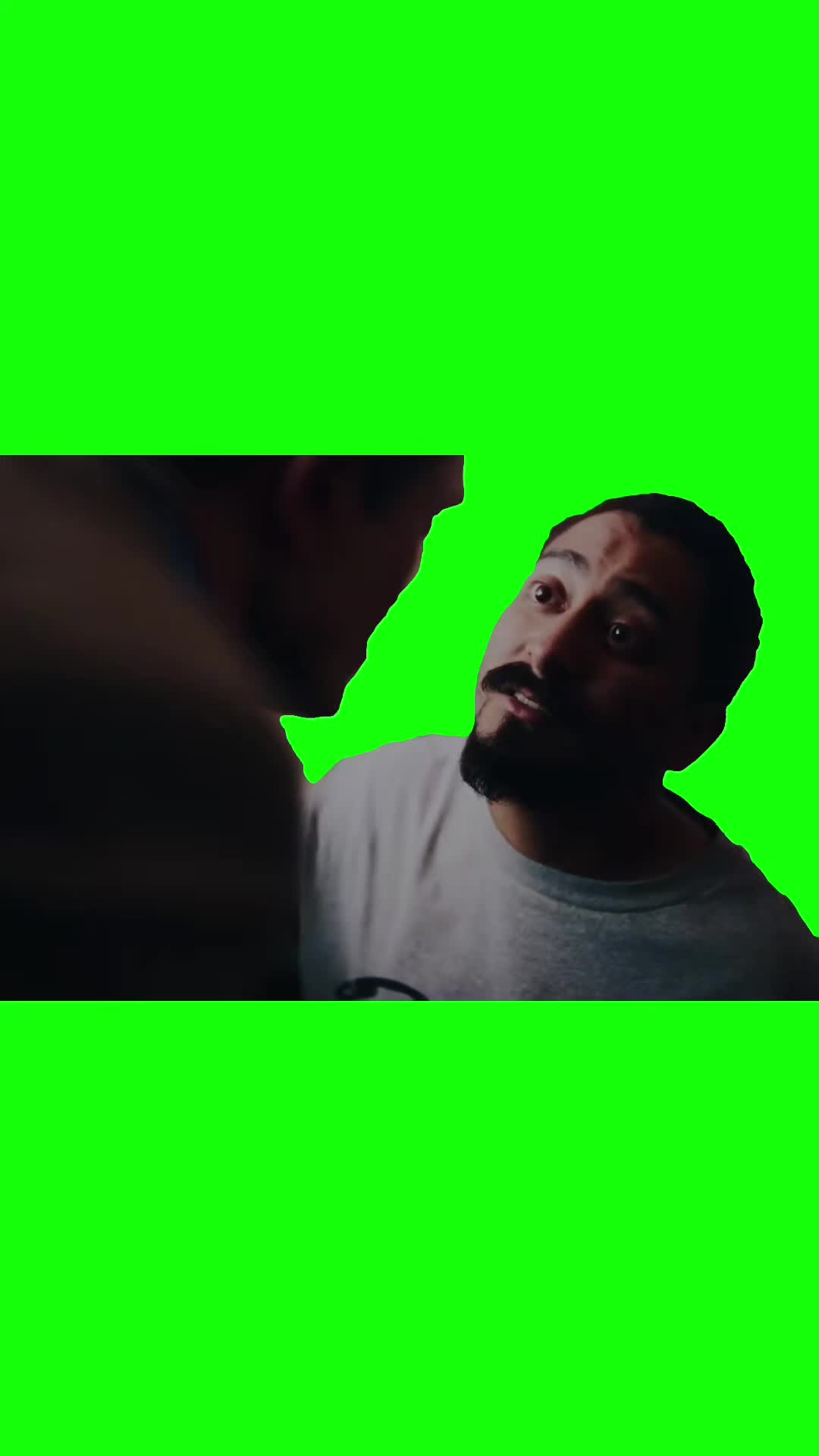 @Chief Green Screens