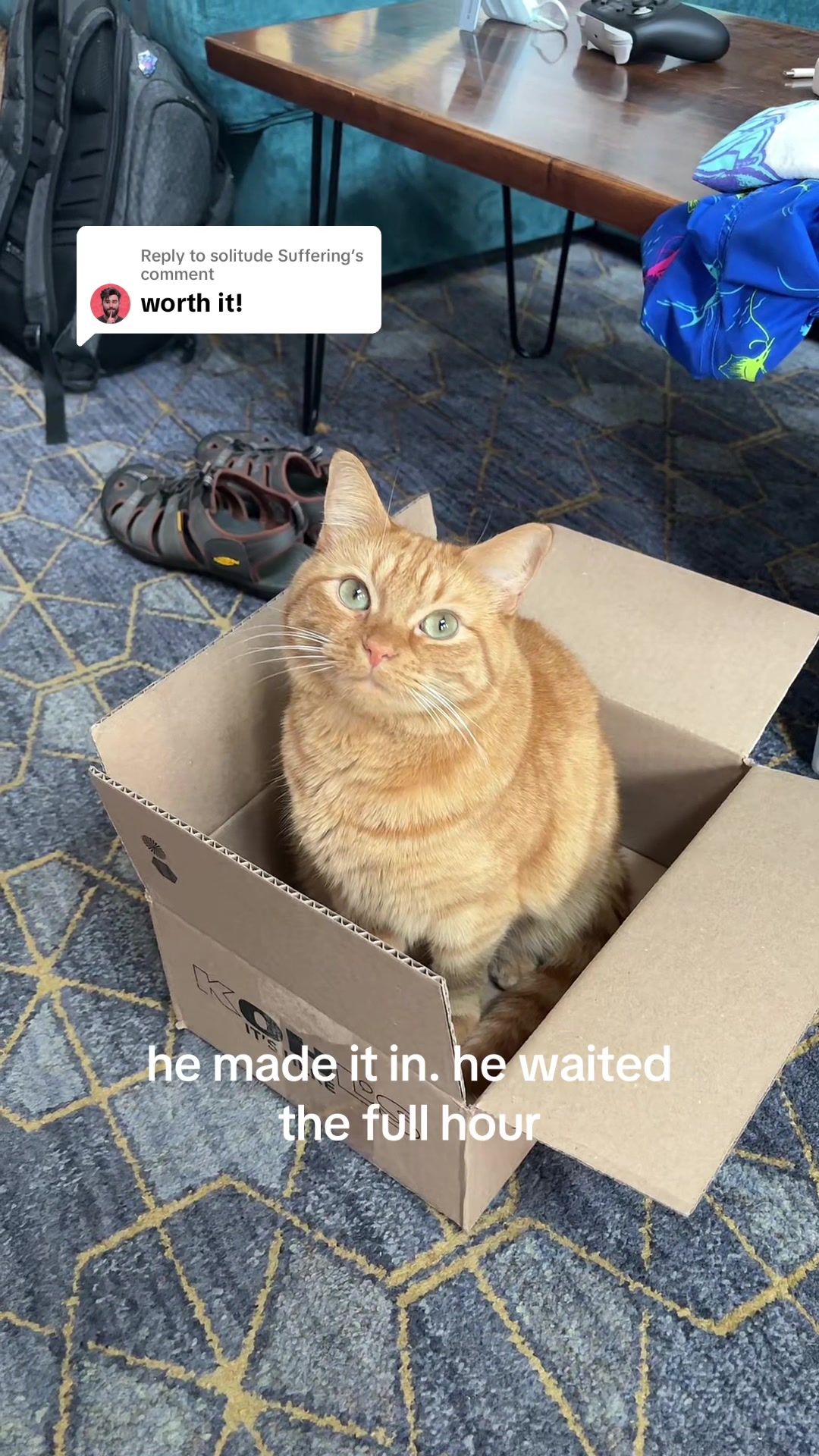 @cowboycatdad