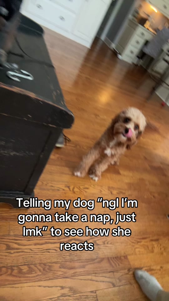 @Jack