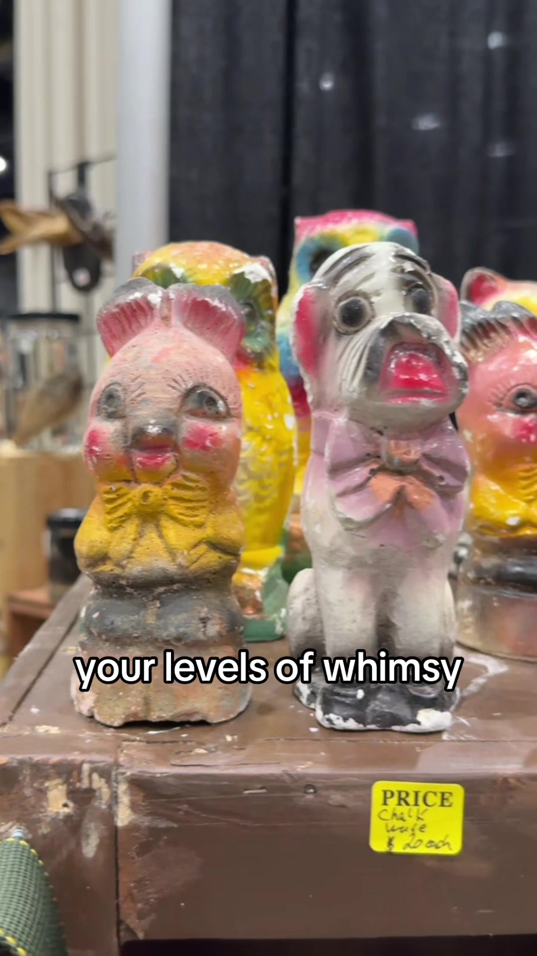 @Oddities & Curiosities Expo