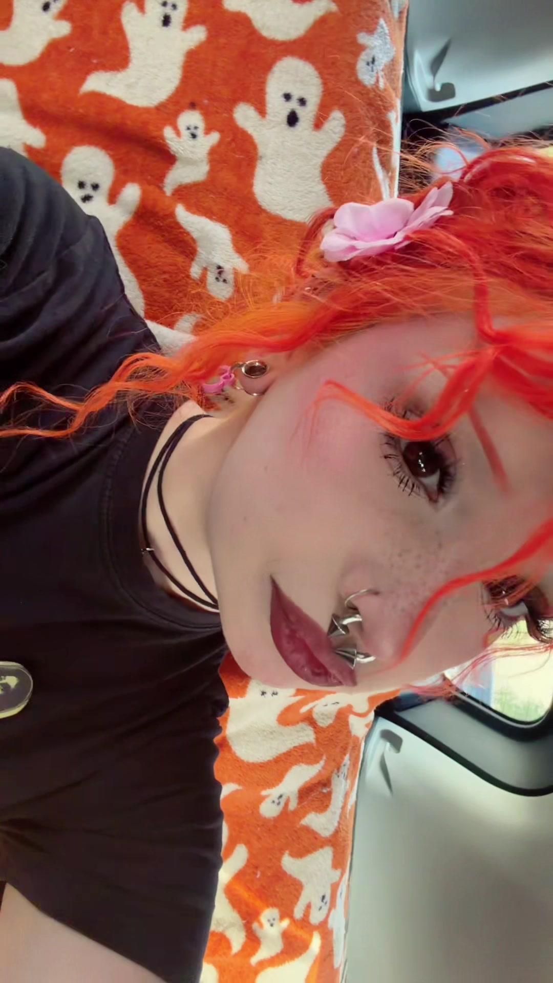 @catshucos