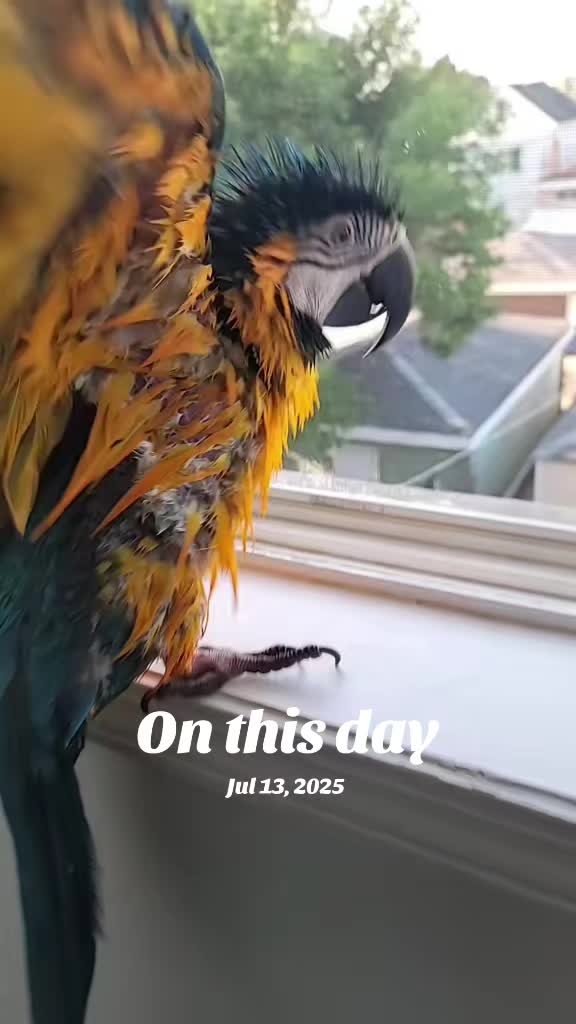 @🕴🏻Heisenbird🐦