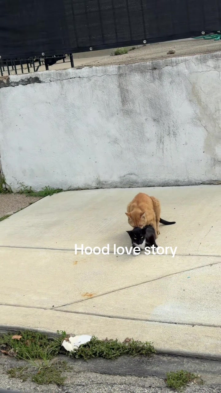 @stockedupww15