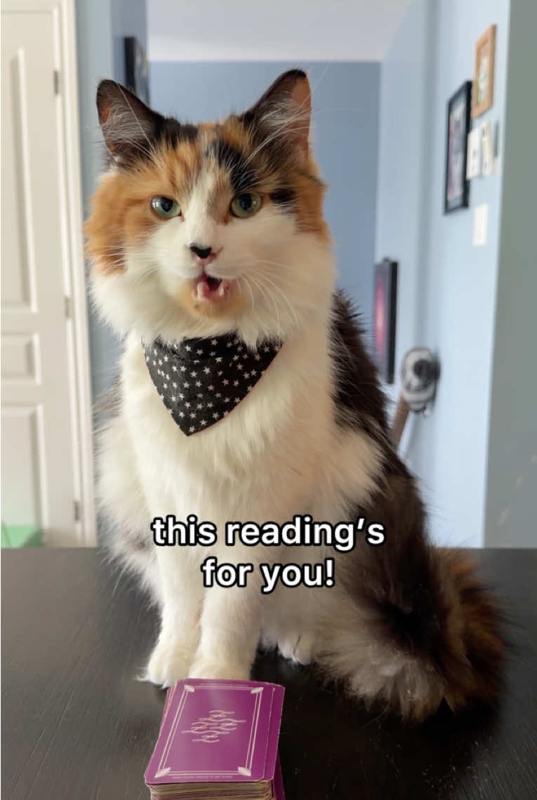 @The Oreo Cat