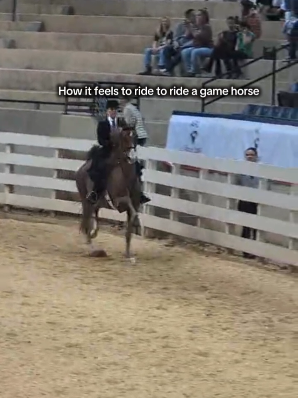 @saddleseat_4life