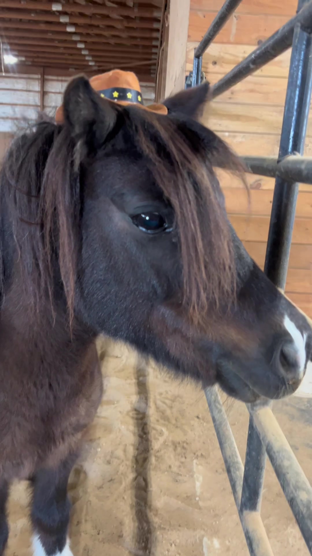 @masoncreekranch
