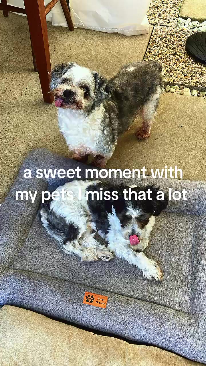 @adylnnpayne