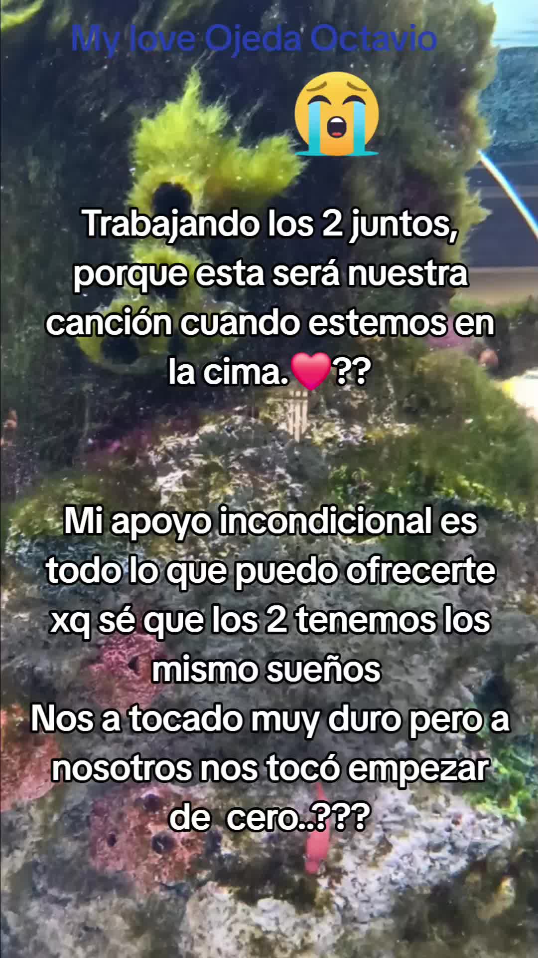 @Alizon Ojeda