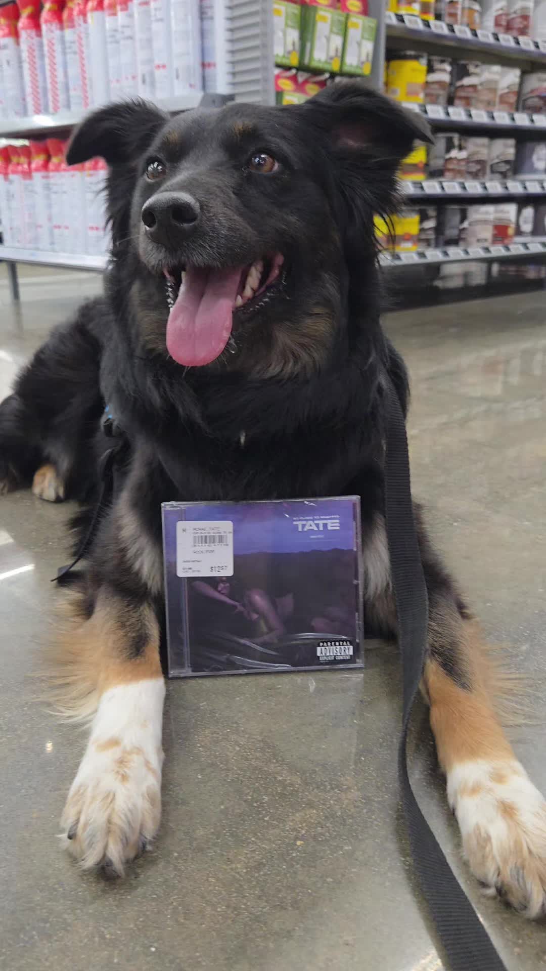 @Nala the Service aussie