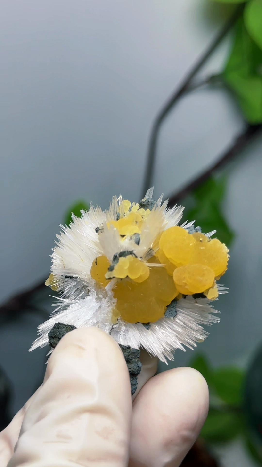 @Th&iacute;ch Đ&aacute; Th&ocirc; Nhưng Thật 🌿