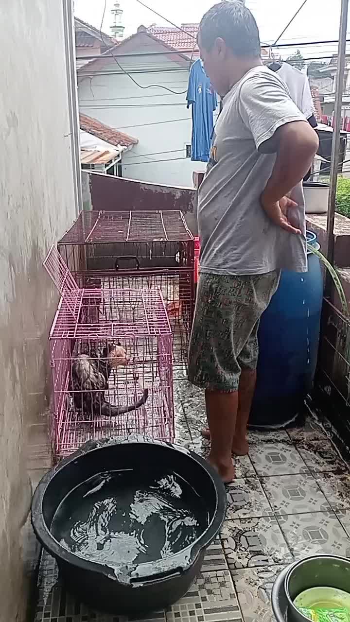 @Istana bintang musang bu santi