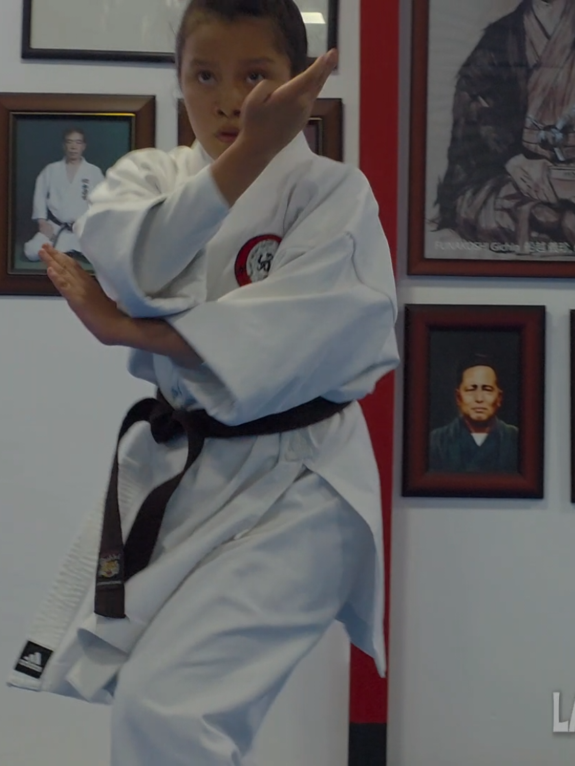 @Karate LSDG