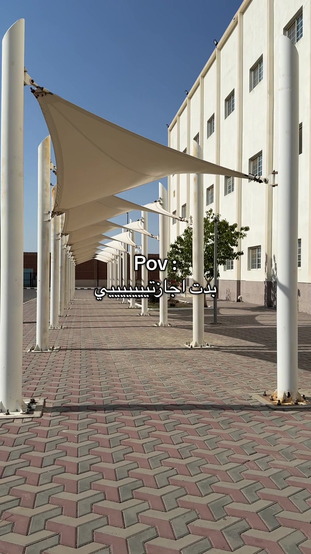 @المصورة | طيف العتيبي 🪄