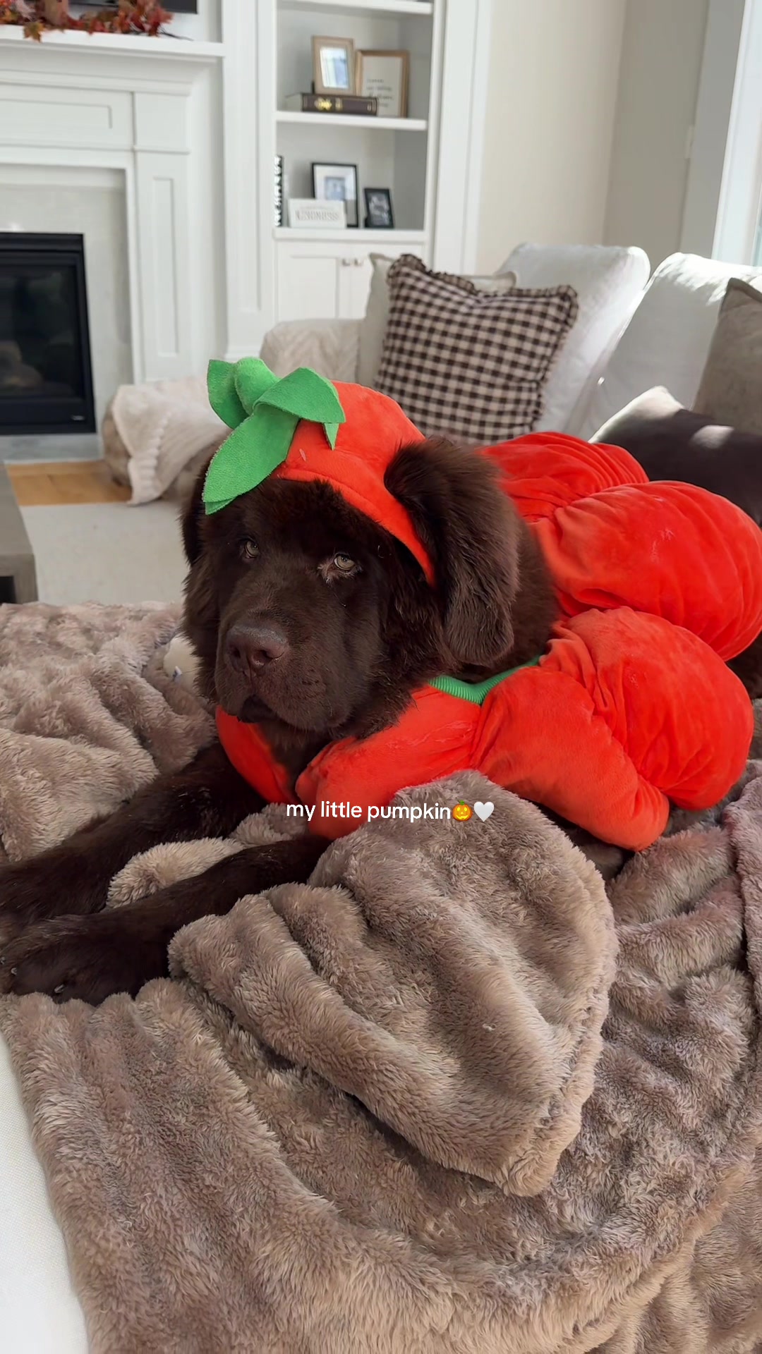 @Kaia Henderson