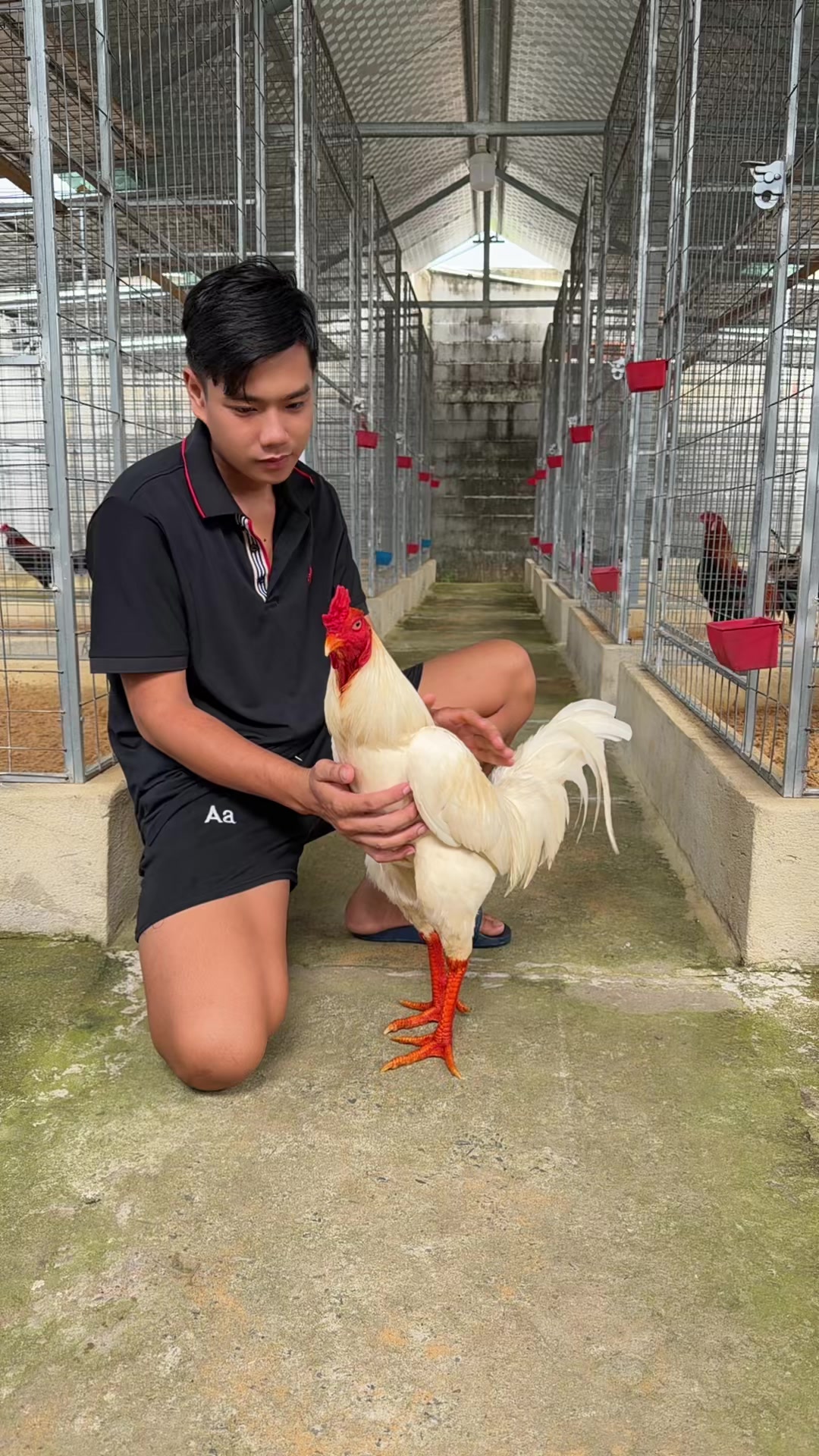 @Thông Lê