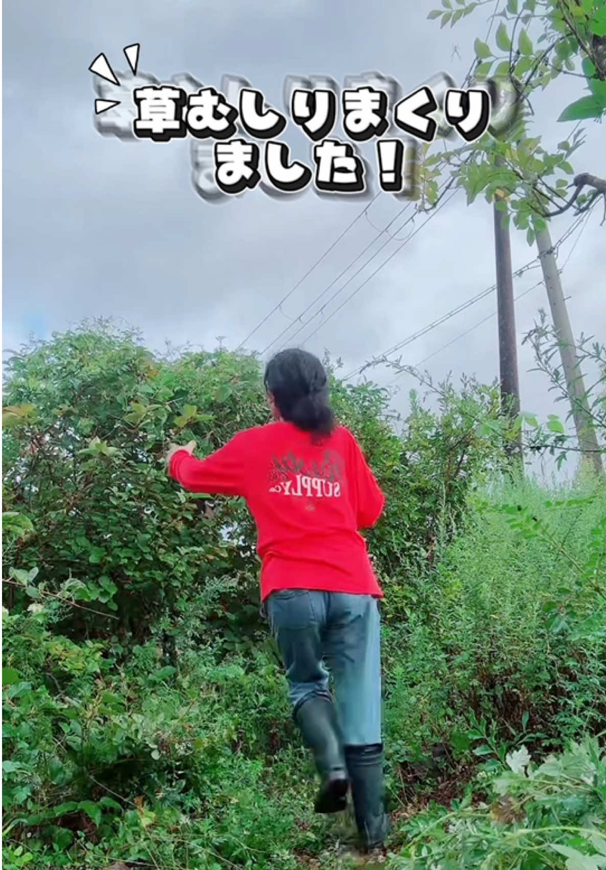 @やのともこ🦋🌈💓