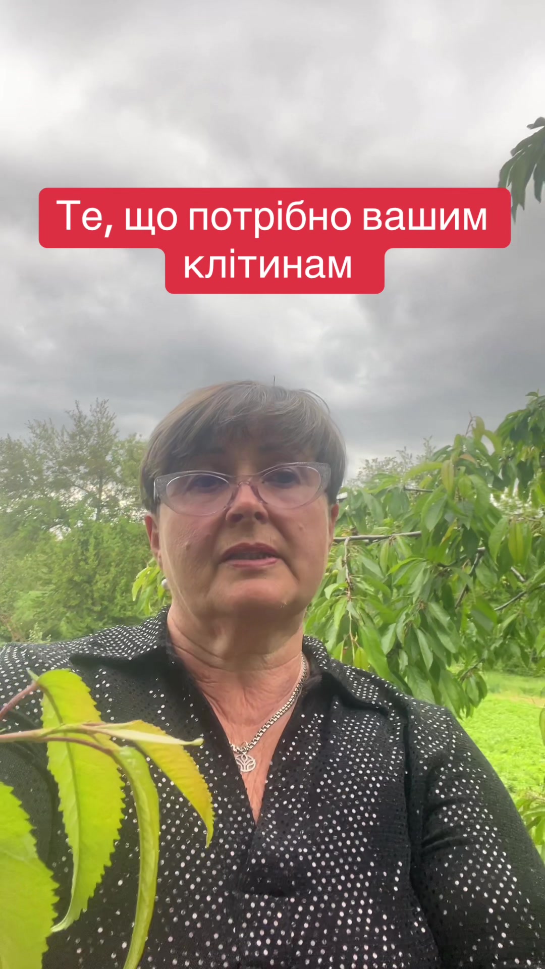 @Тетяна Дяченко