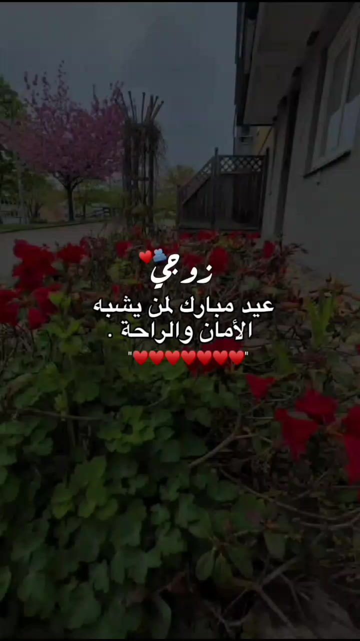 @حُِلَوᤤةۘةۘ أآࢦمَلامَحُِ┊💚
