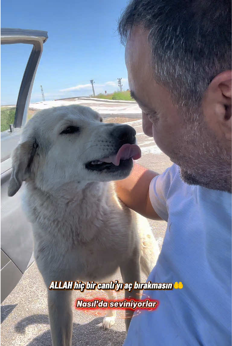 @Sinan Topaloğlu ( Sinan Müzik)
