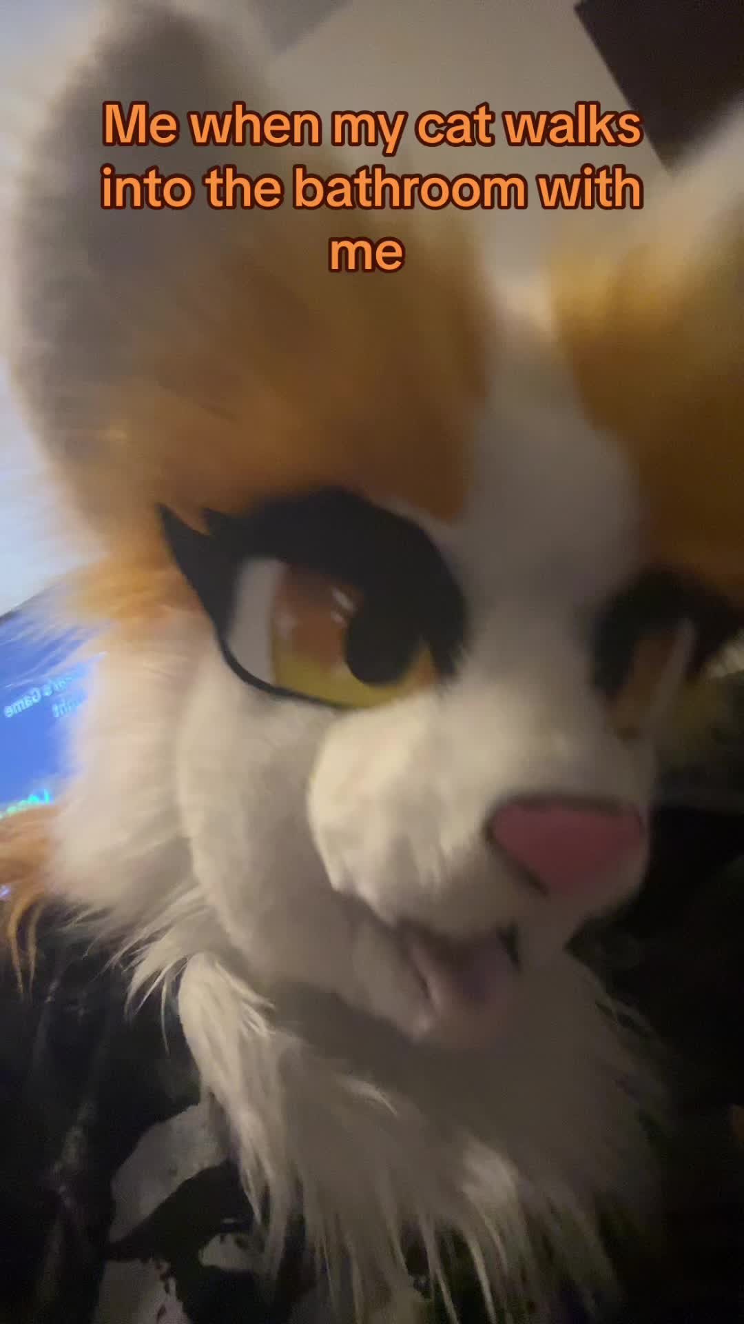 @🪲 ᗷEETᒪEᒍᑌIᑕE!🧃