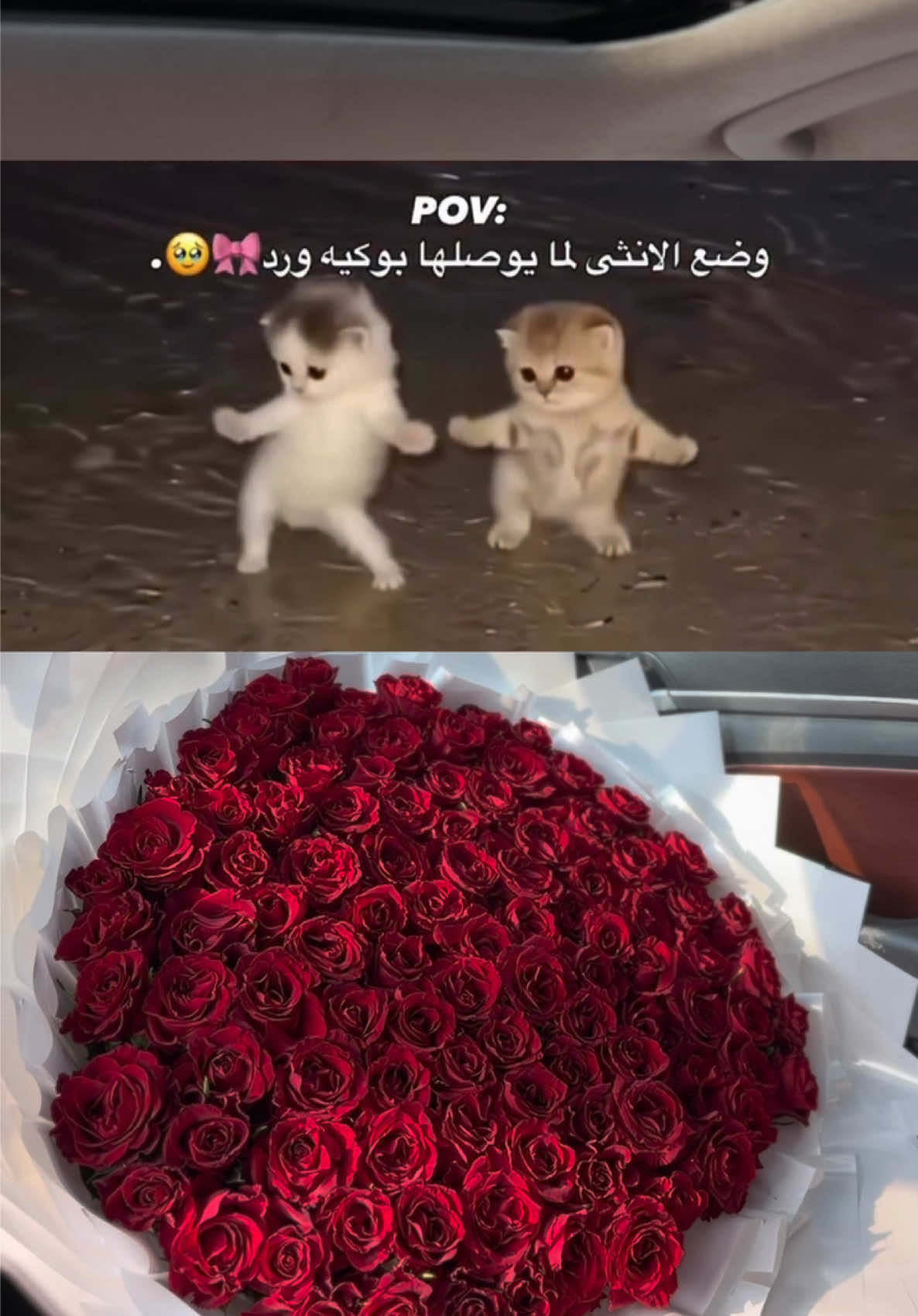 @هدايا خميس مشيط
