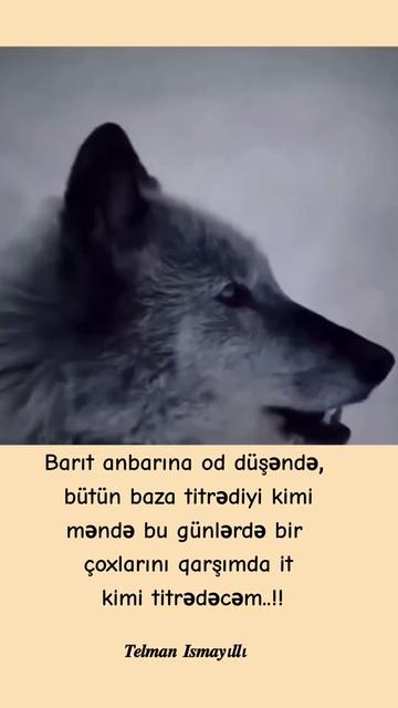 @𝑻𝒆𝒍𝒎𝒂𝒏 𝑰𝒔𝒎𝒂𝒚𝜾llı✨️
