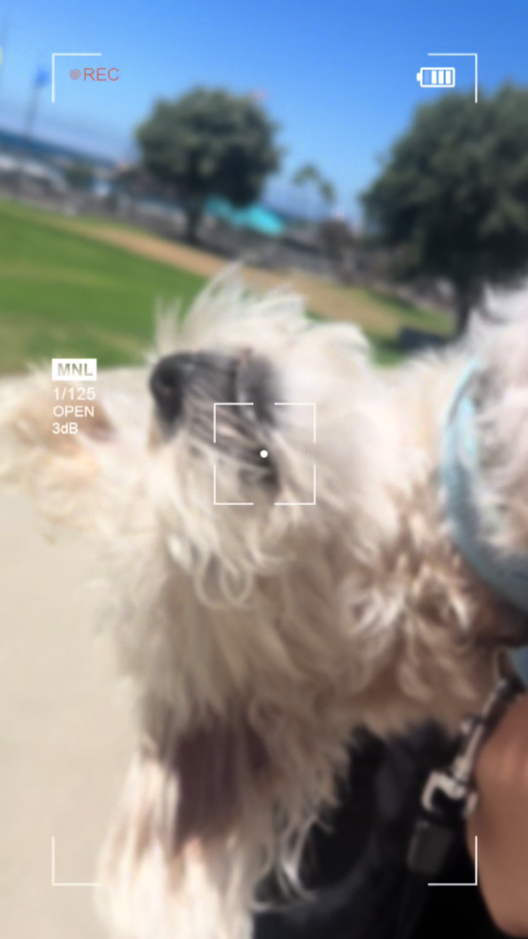 @He Was A PoodleBoi