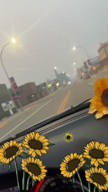 @🌻🖤🌻La FBlanquita🌻🖤🌻
