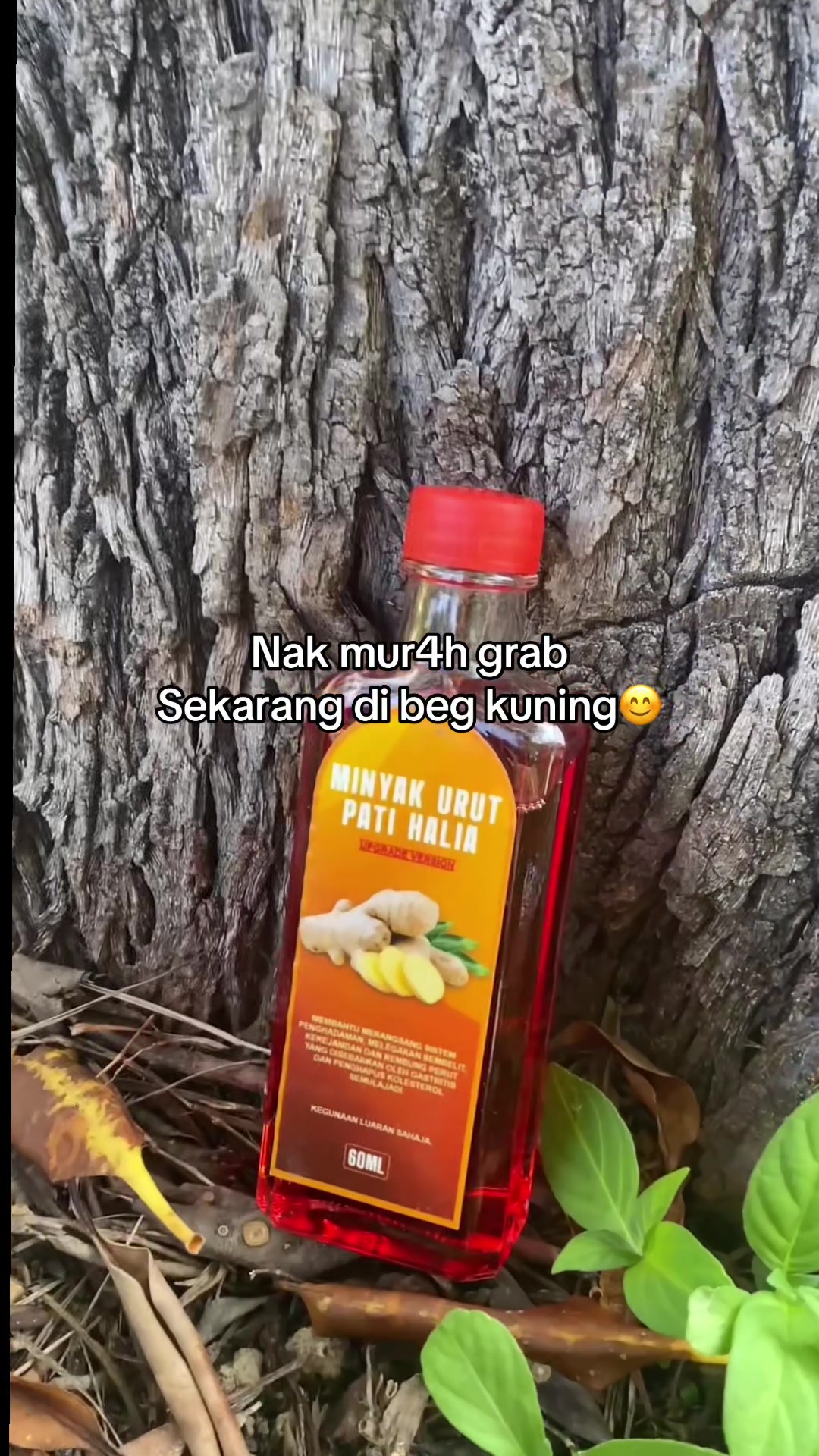 @Shima Zara