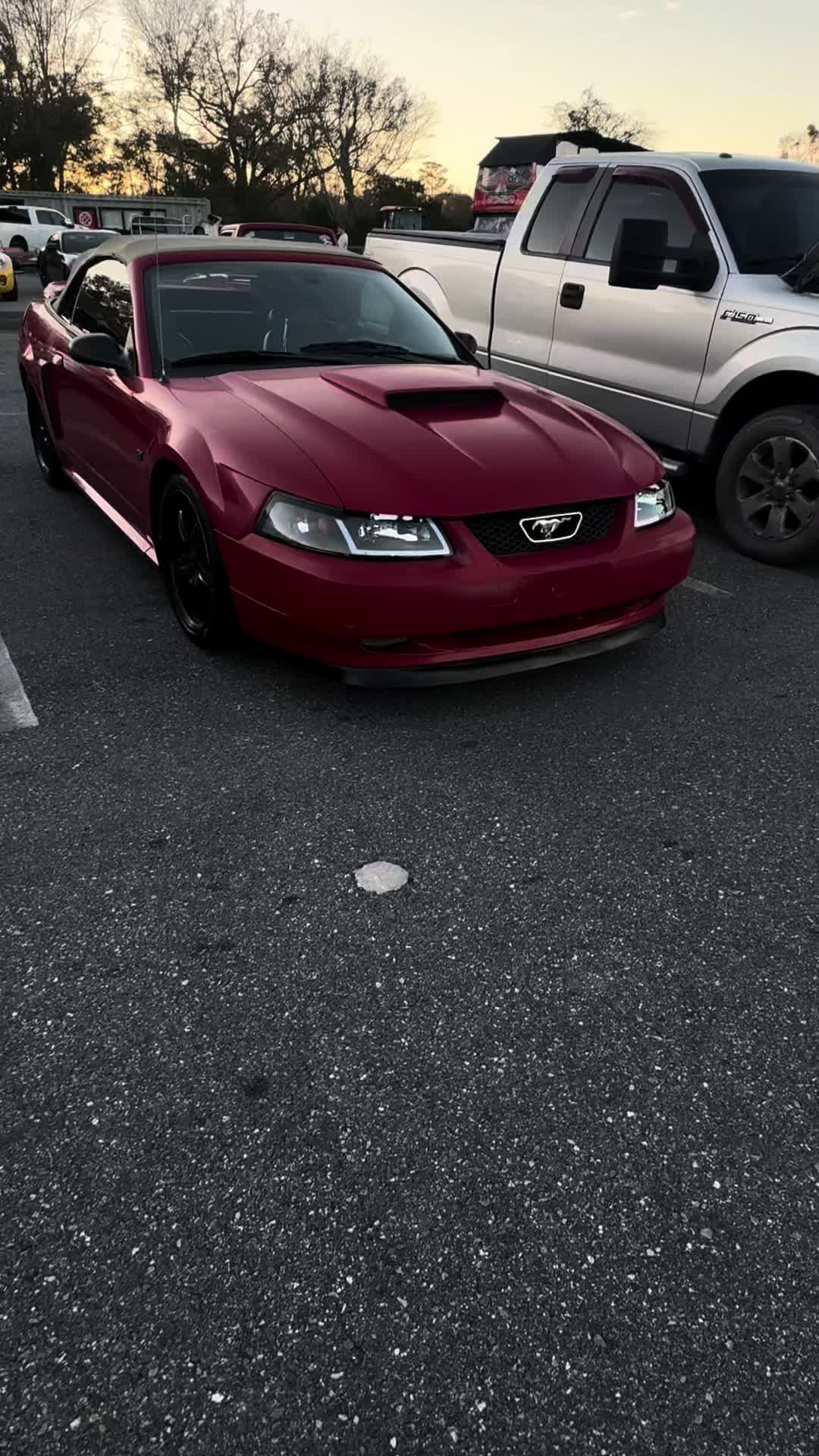 @that.new.edgemustang