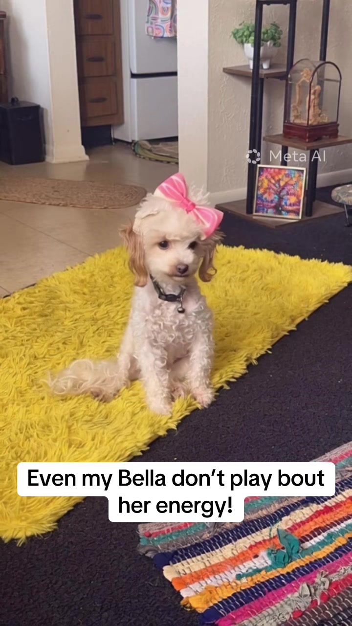 @Nikki