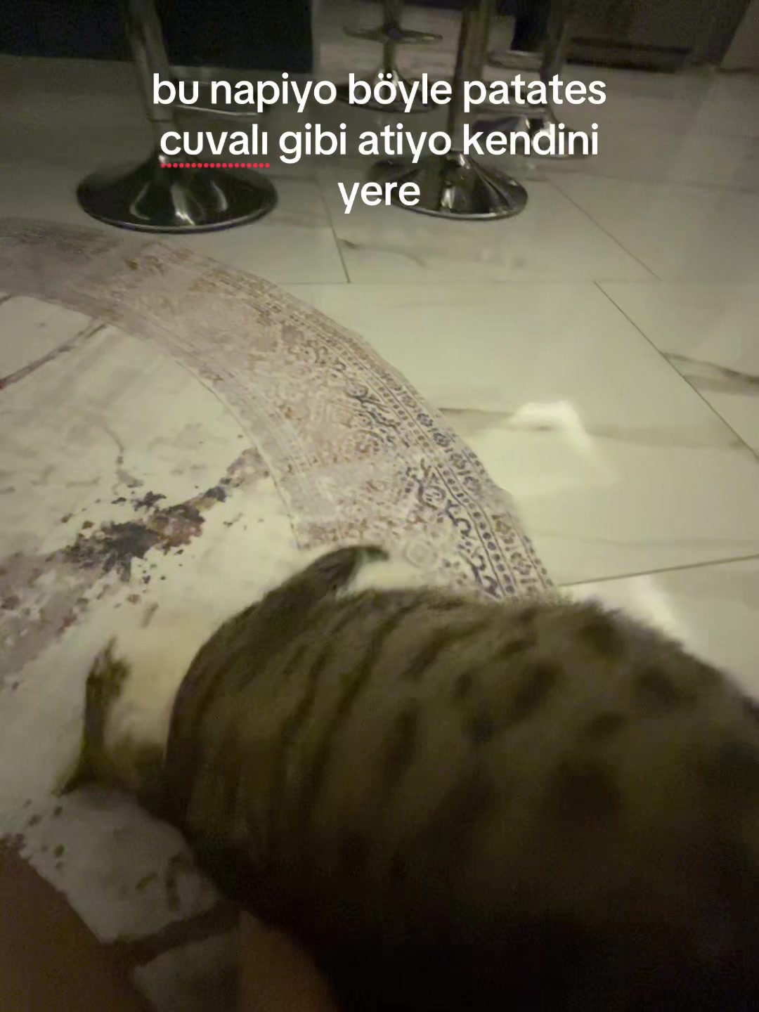 @ecrin