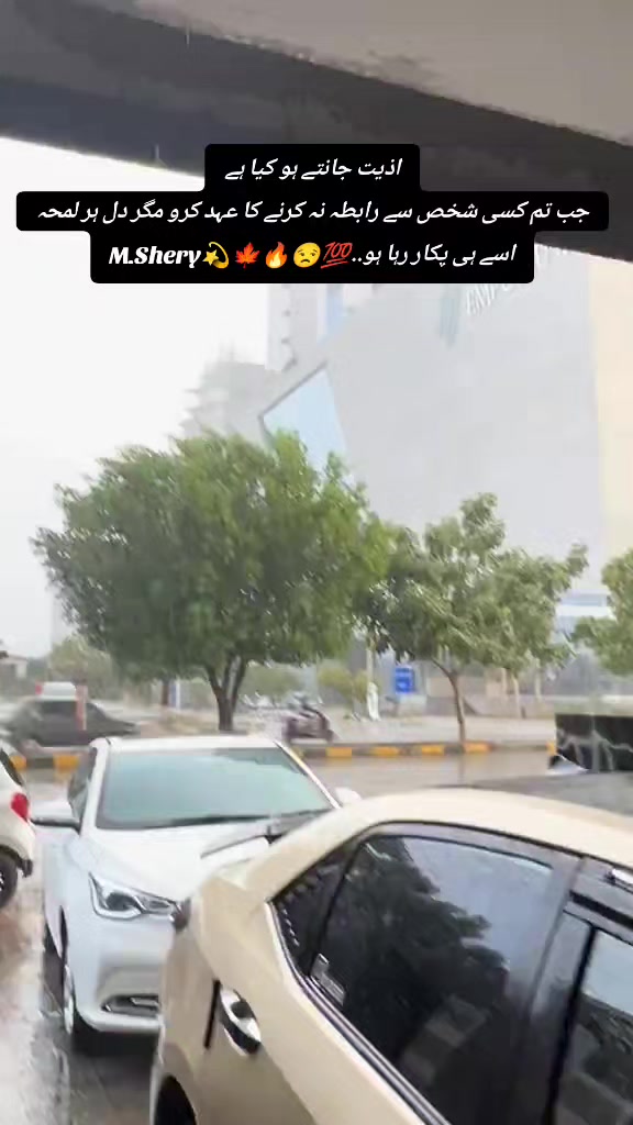 @Shery46