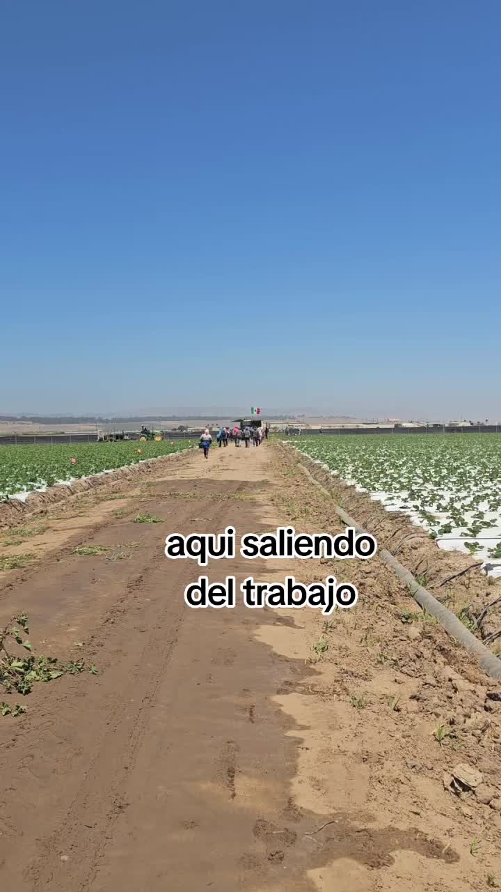 @🇲🇽🐦⬛🪺VASQUEZ🚚🌪💎