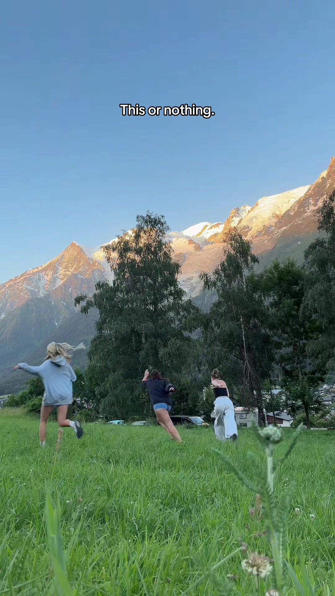 @danifriedmann