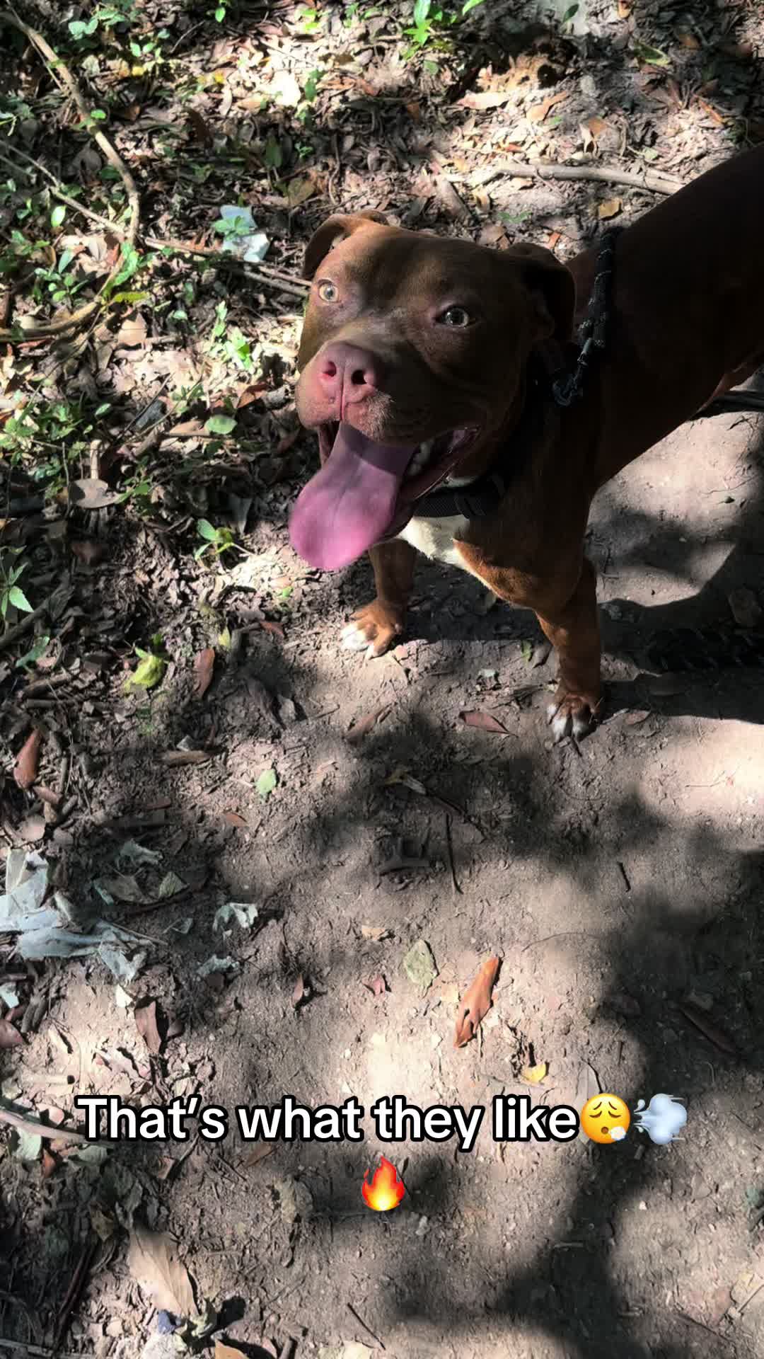 @kamwithapbt