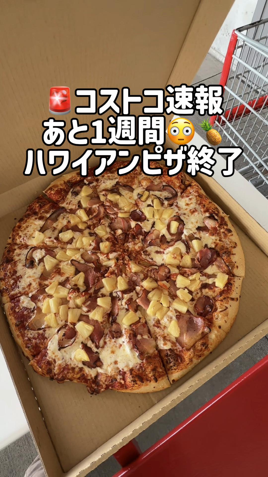 @毎日コストコに通う主婦🥤てこ