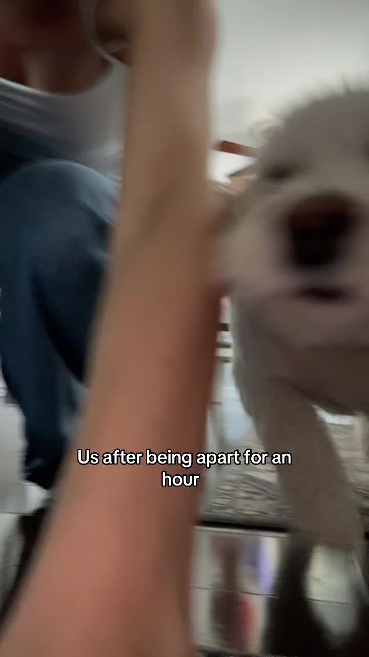 @Dumbbitch