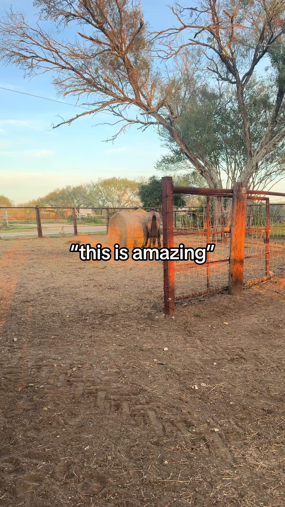 @Lyssa 💕🛢️