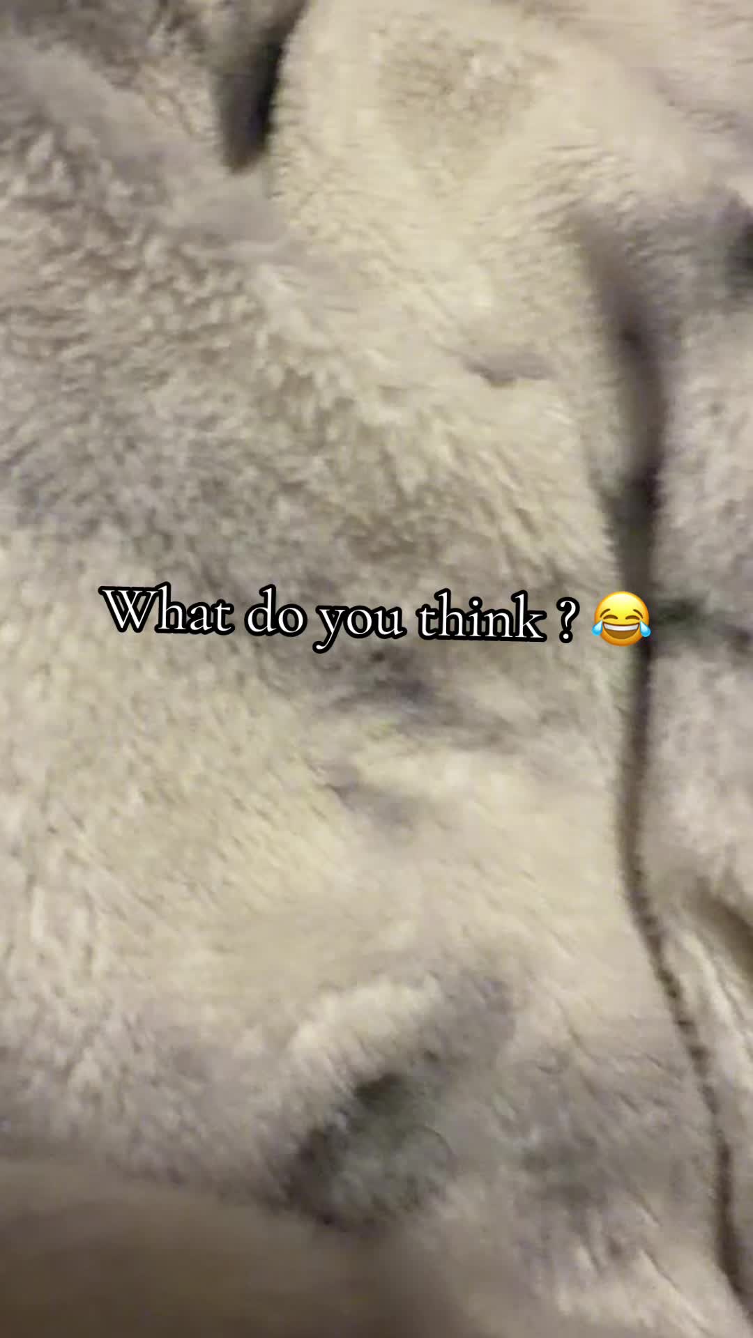 @pinchatee