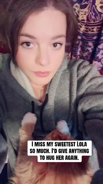 @steviebelfiore