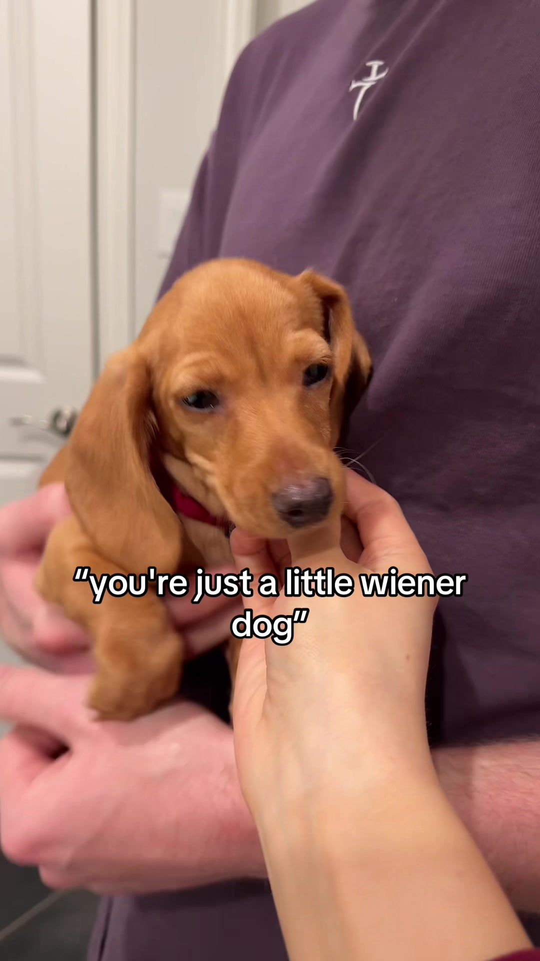 @Cash & Kate