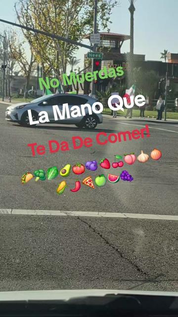 @🏳️🌈🐆PLEBE D CHIQUITA🐆🌈⭐️